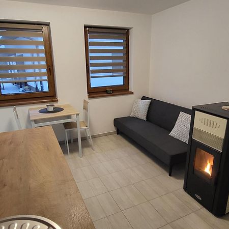 Apartman Na Karlicku Karlov  外观 照片