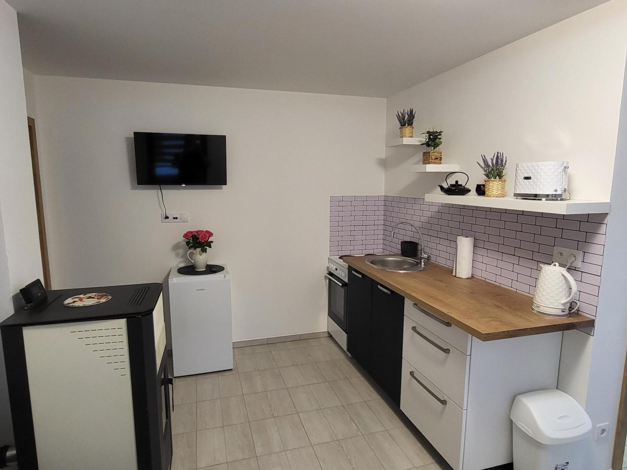 Apartman Na Karlicku Karlov  外观 照片