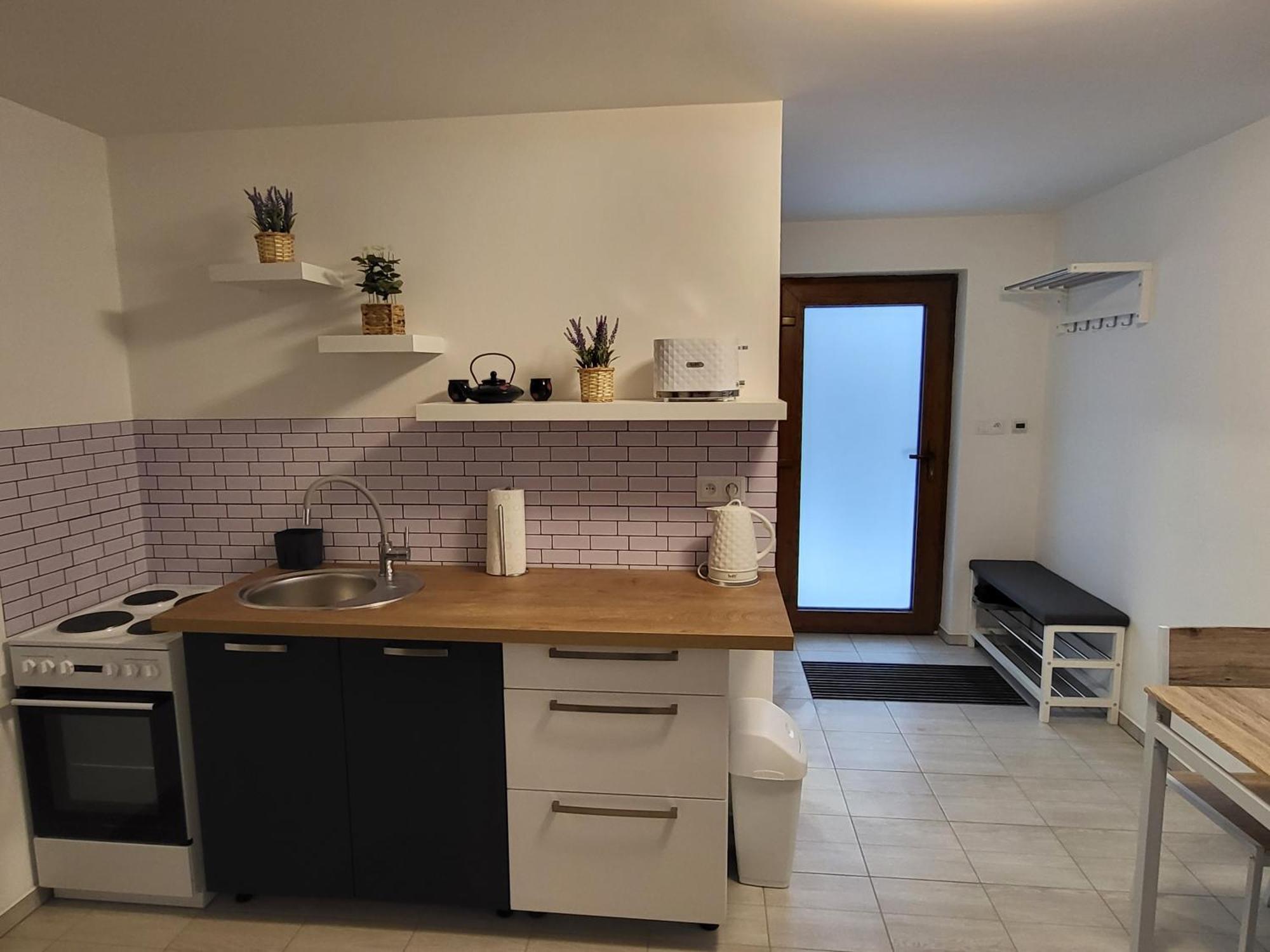 Apartman Na Karlicku Karlov  外观 照片