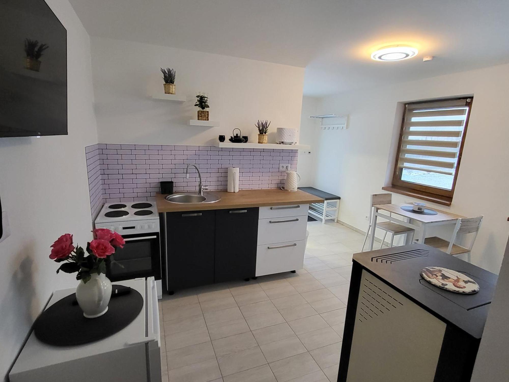 Apartman Na Karlicku Karlov  外观 照片